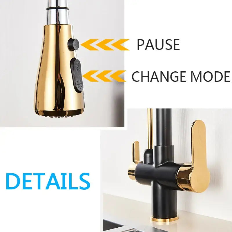 Modern black & gold filter kitchen faucet with dual spout