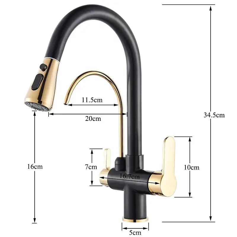 Modern black & gold filter kitchen faucet with dual spout