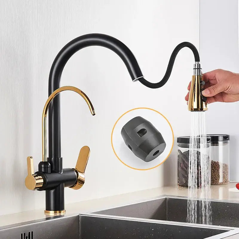 Modern black & gold filter kitchen faucet with dual spout