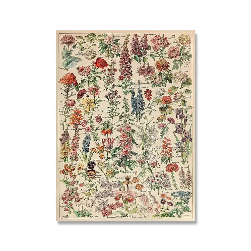 Adolphe millot encyclopedia botanical framed wall art living room decor
