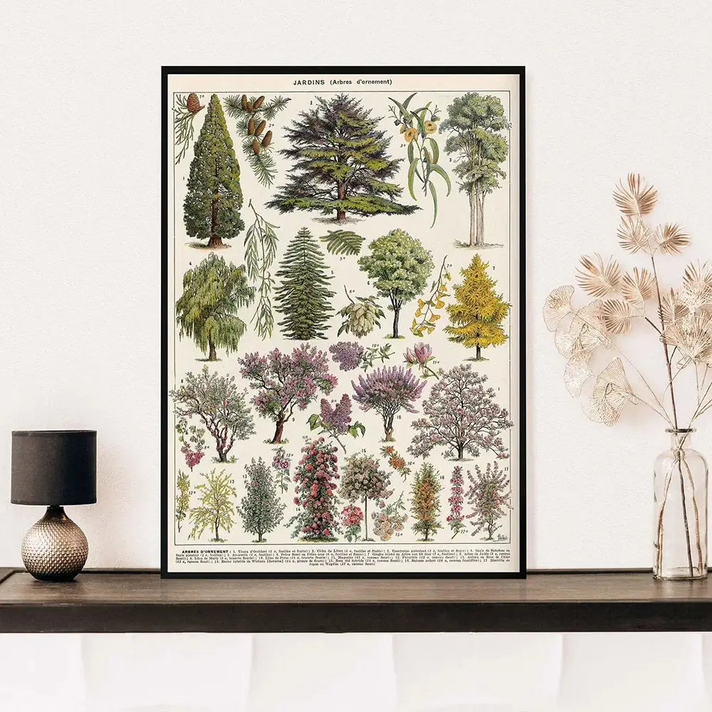 Adolphe millot encyclopedia botanical framed wall art living room decor