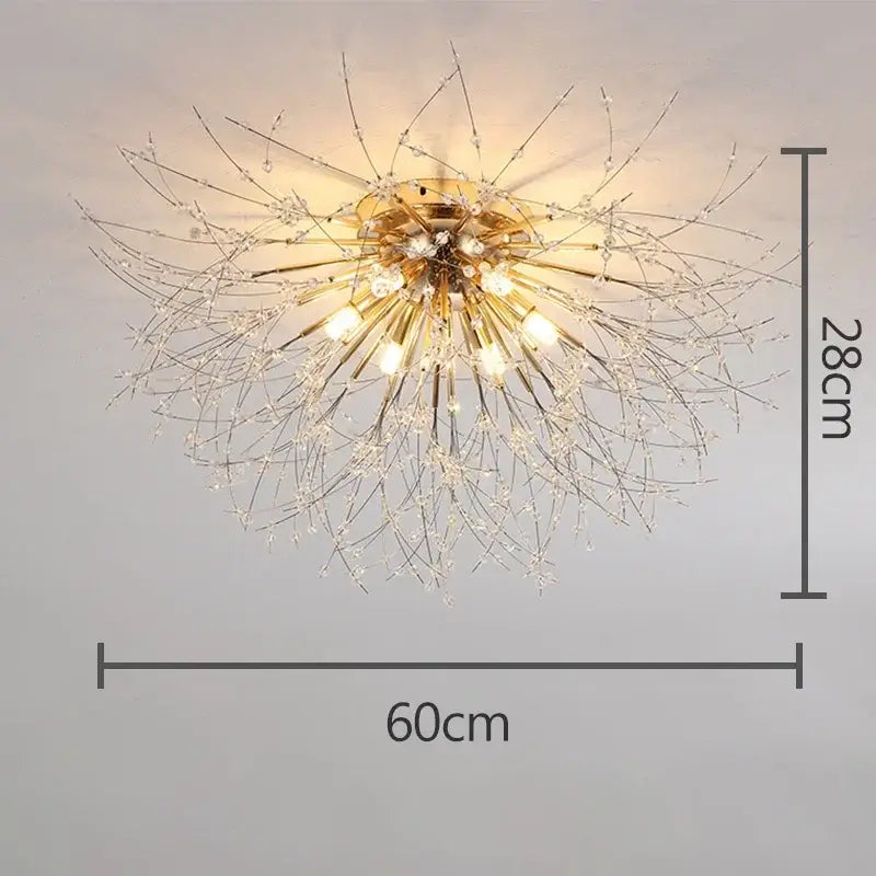 Decorbites dandelion crystal led ceiling light for living room