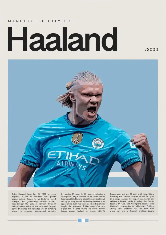 Blue manchester city football star champion wall art bedroom canvas