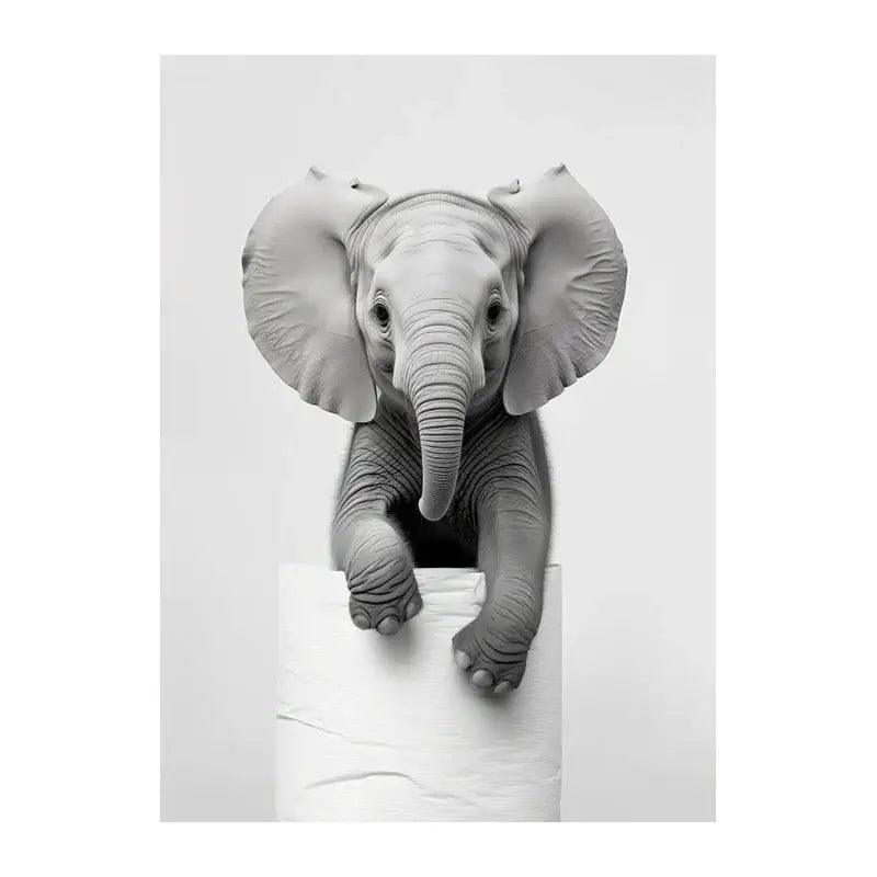 Black and white funny animals wall art – bathroom framed prints