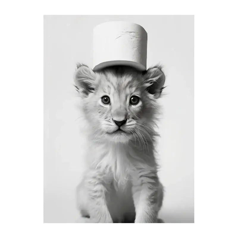 Black and white funny animals wall art – bathroom framed prints