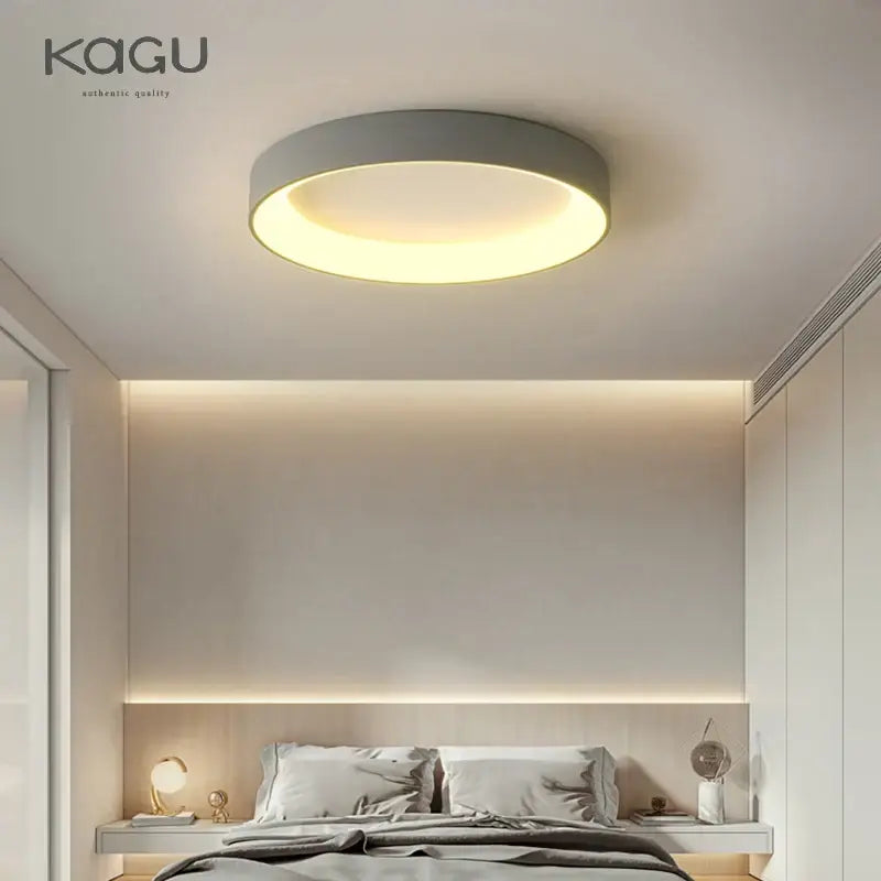 Modern minimalist white & grey led ceiling lights for living room