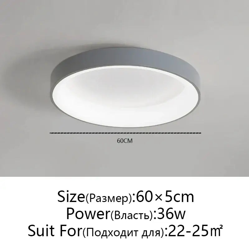 Modern minimalist white & grey led ceiling lights for living room