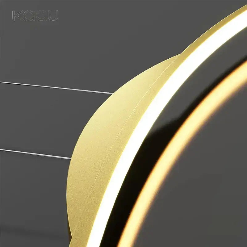 Modern black curved led ceiling pendant lamp for dining room