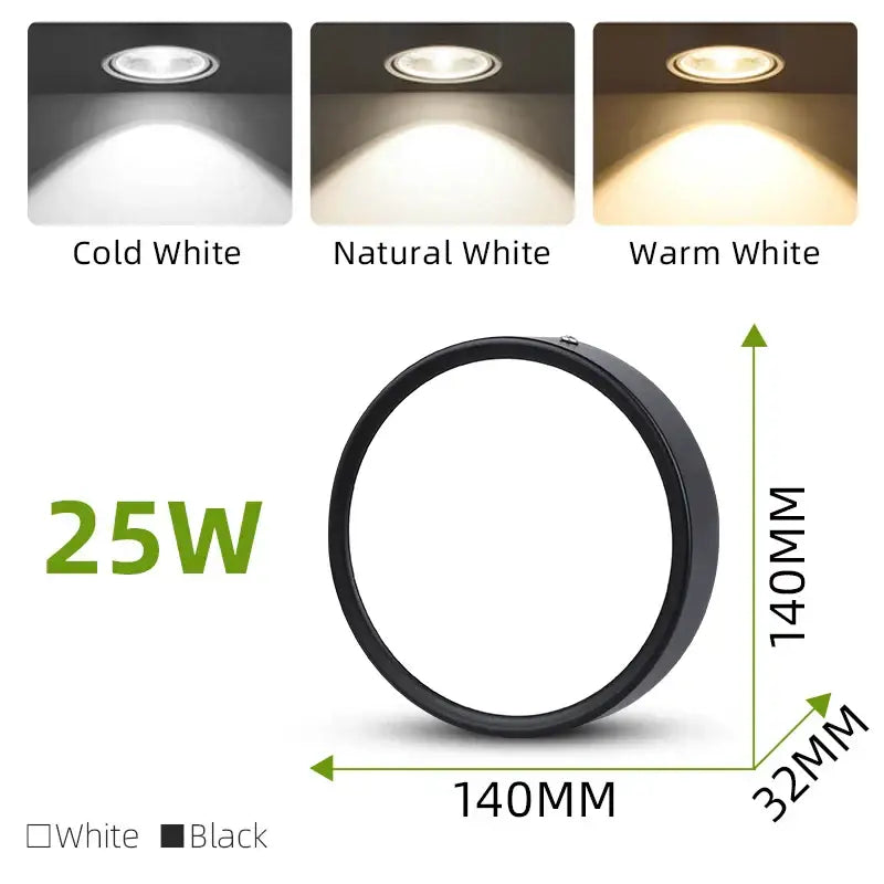 Adjustable black & white led ceiling spot for kitchen lighting