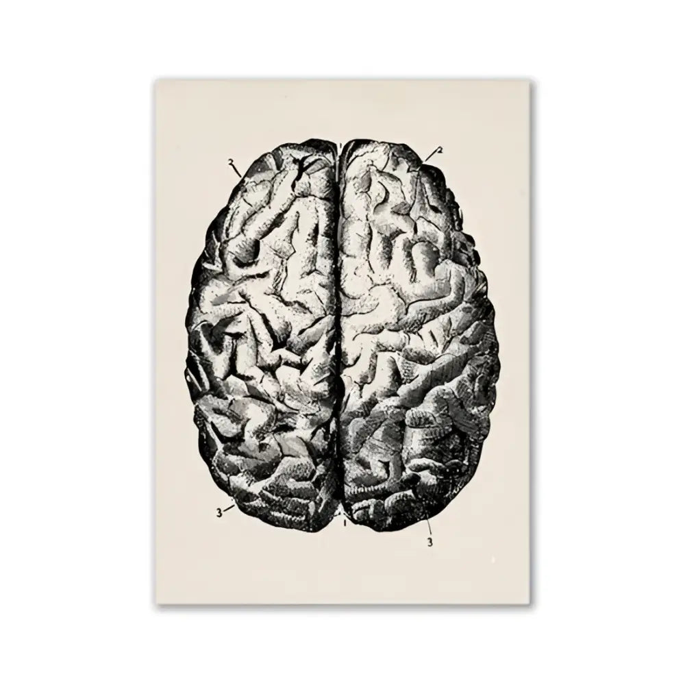 Vintage beige human digestive system anatomy artwork – kitchen wall art