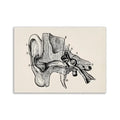 Vintage human anatomy ear canvas print medical bedroom wall art