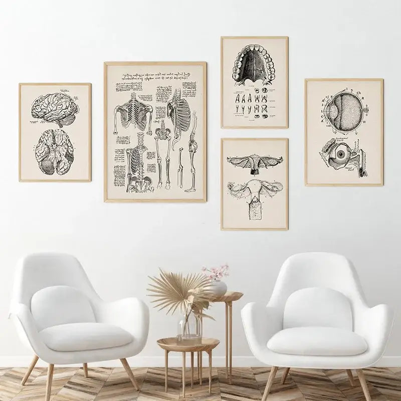 Vintage human anatomy ear canvas print medical bedroom wall art