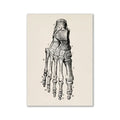 Vintage human anatomy foot skeleton canvas print bedroom wall art