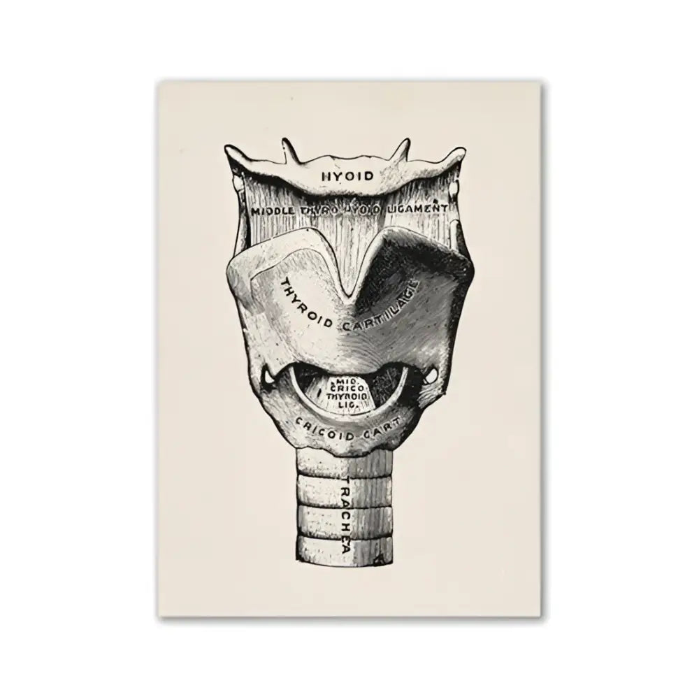 Vintage human anatomy canvas print – bedroom wall art