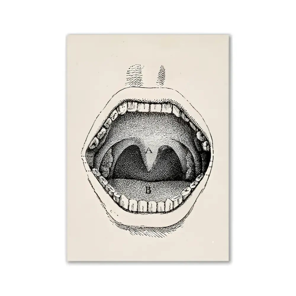 Vintage human anatomy sepia skeleton canvas print for study or bedroom