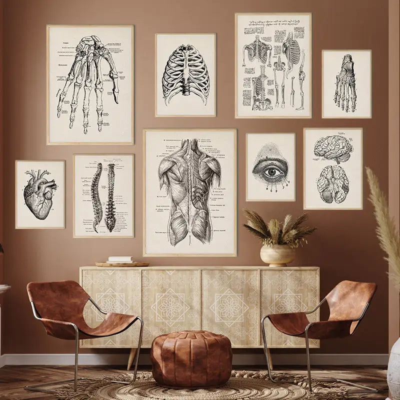 Vintage human anatomy canvas print – bedroom wall art