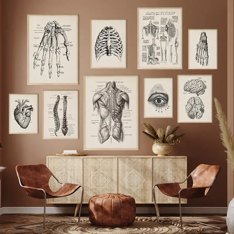 Vintage human anatomy canvas print – bedroom wall art