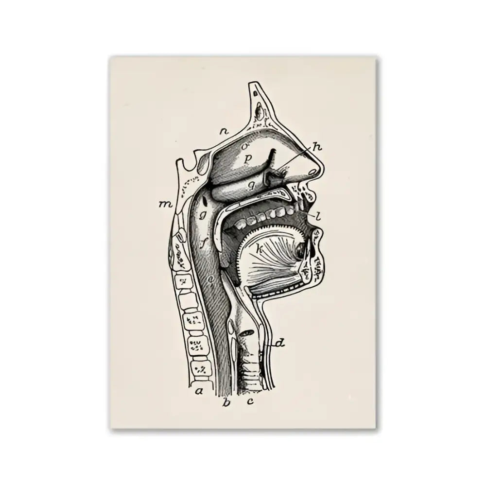 Vintage human anatomy spine canvas print bedroom wall art