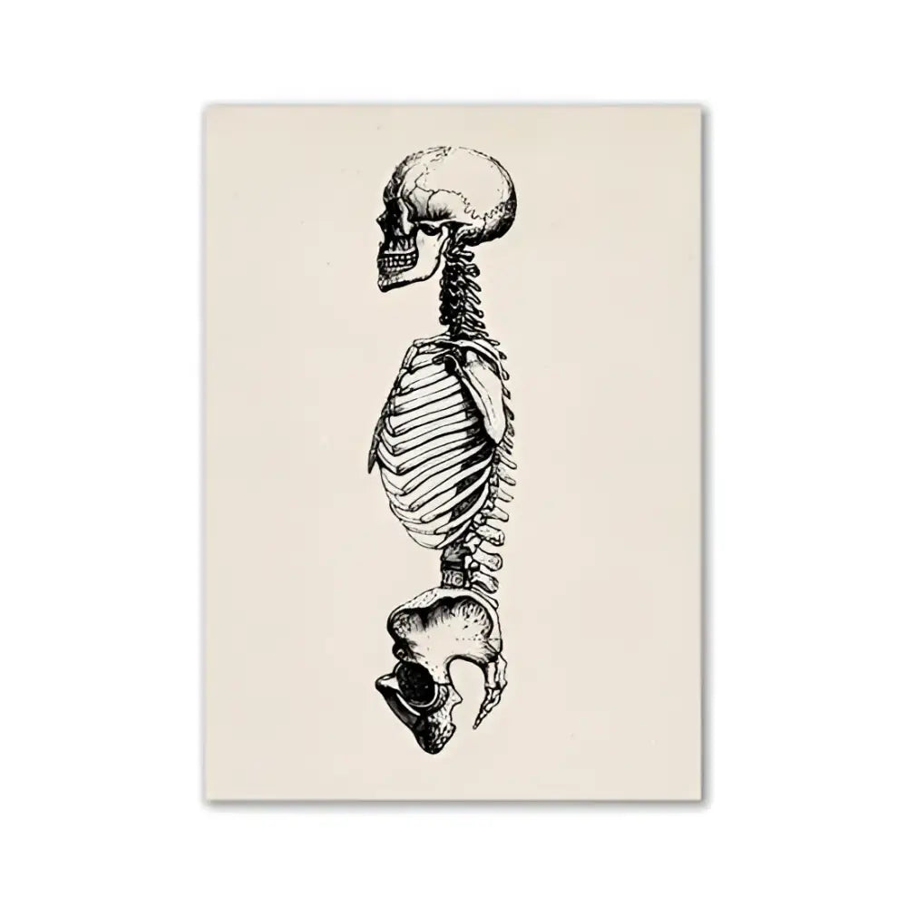 Vintage human anatomy stomach canvas print dining room wall art