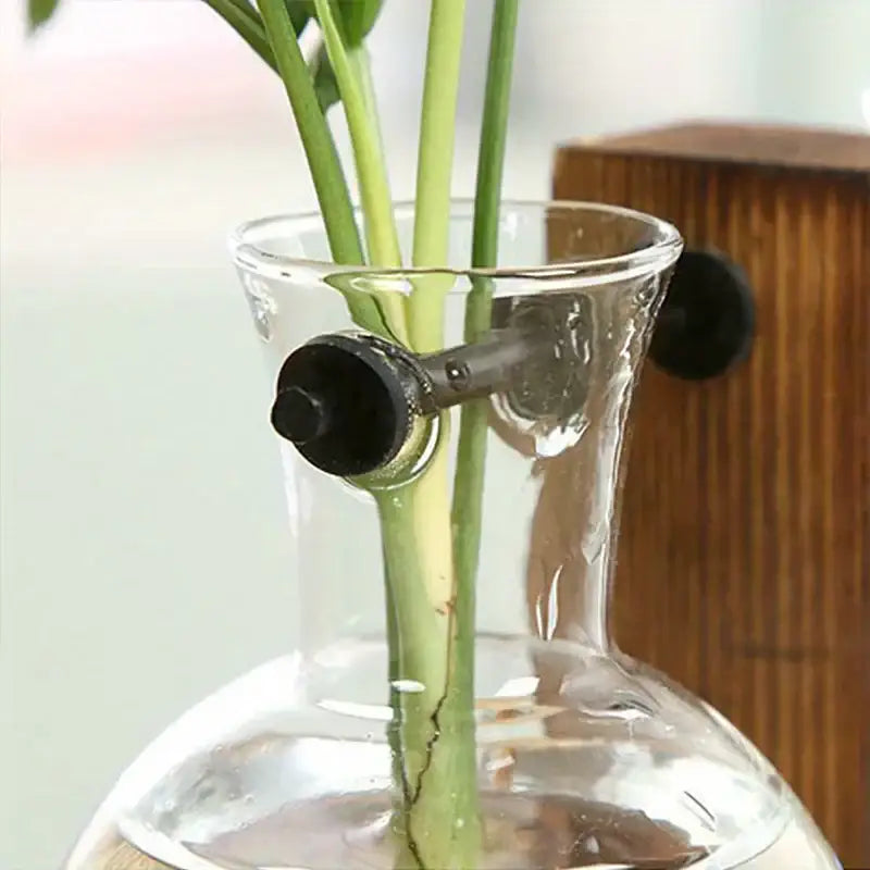 Vintage wood and two bulb vases desktop office plant propagation station
