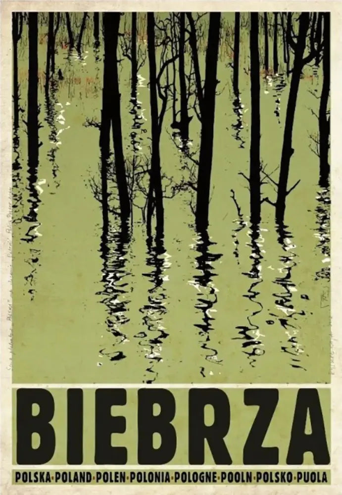 Vintage mazury forest canvas wall art living room poland city posters
