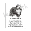 Framed black and white dog breeds poster set bedroom wall art