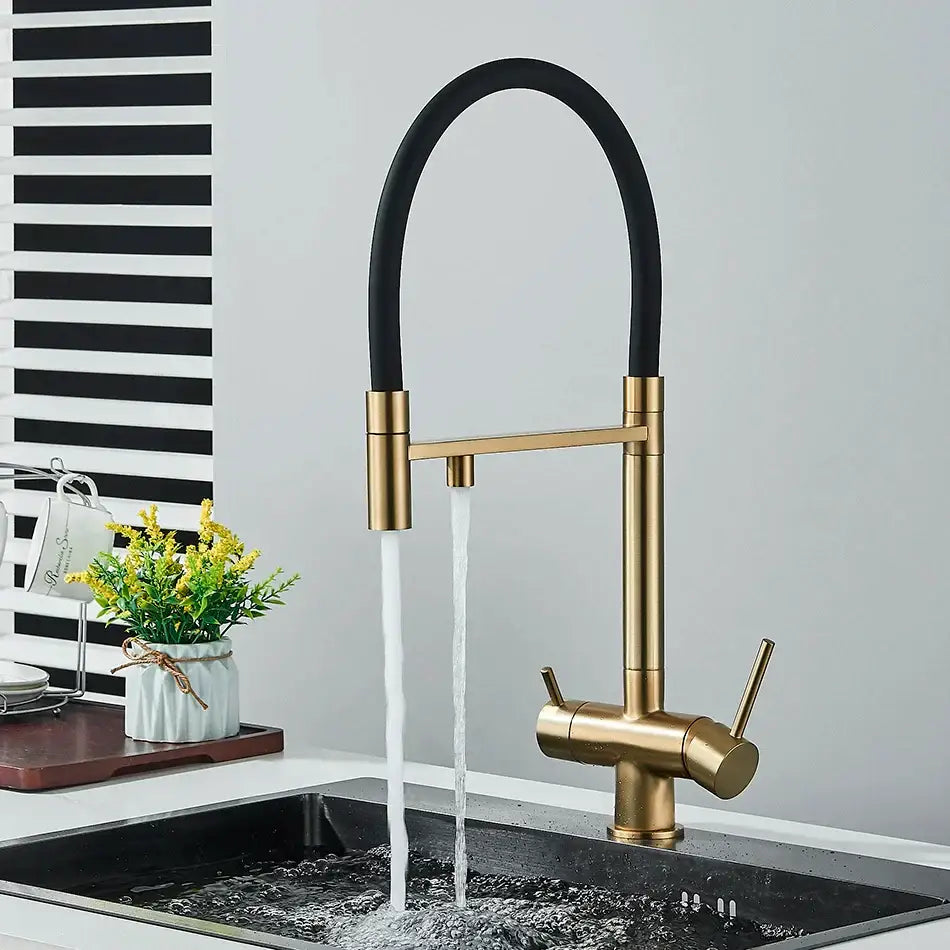 Gold and black dual spout water purification mixer kitchen tap