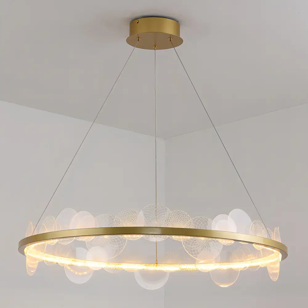 Gold frost texture led ring chandelier living room mesh globe light