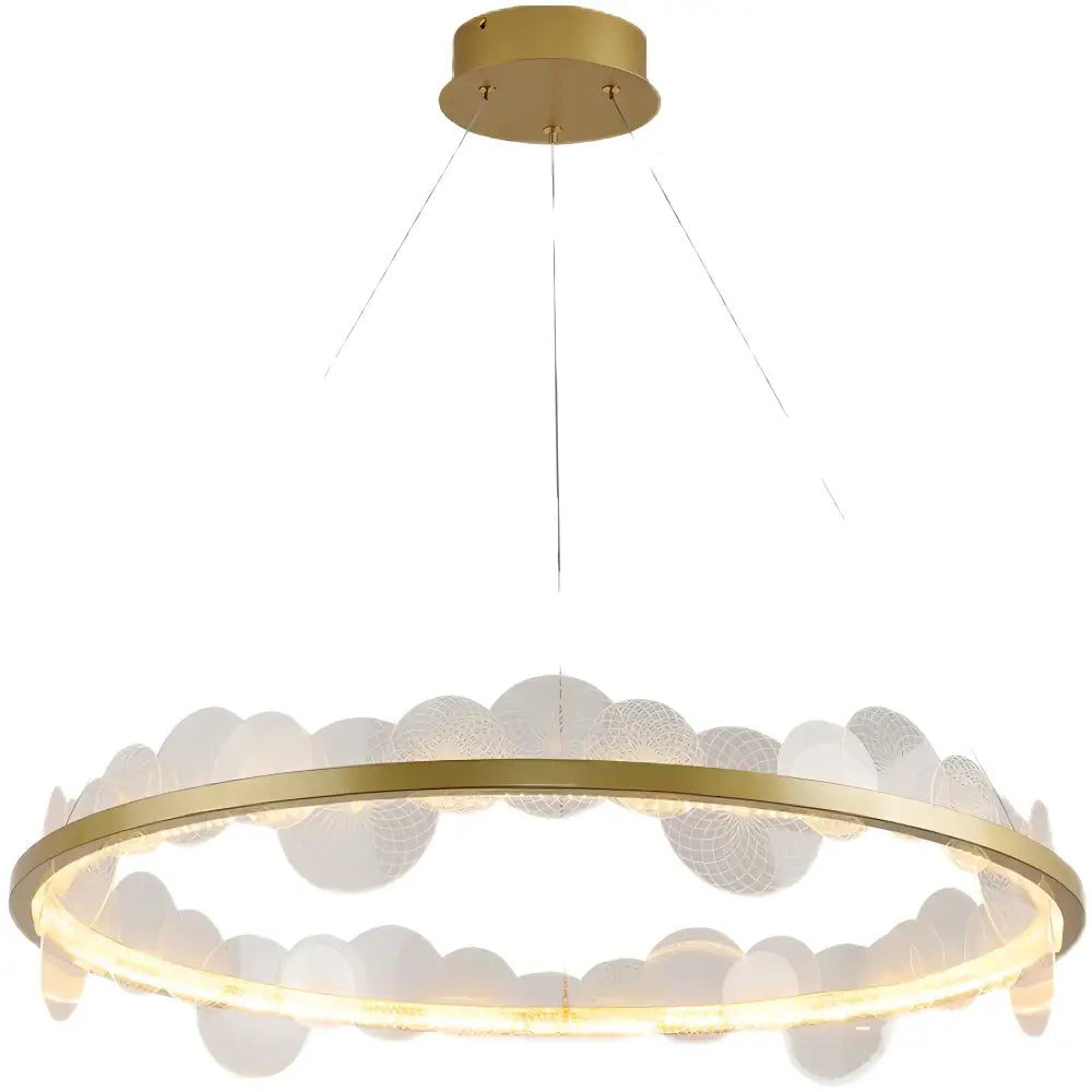 Gold frost texture led ring chandelier living room mesh globe light