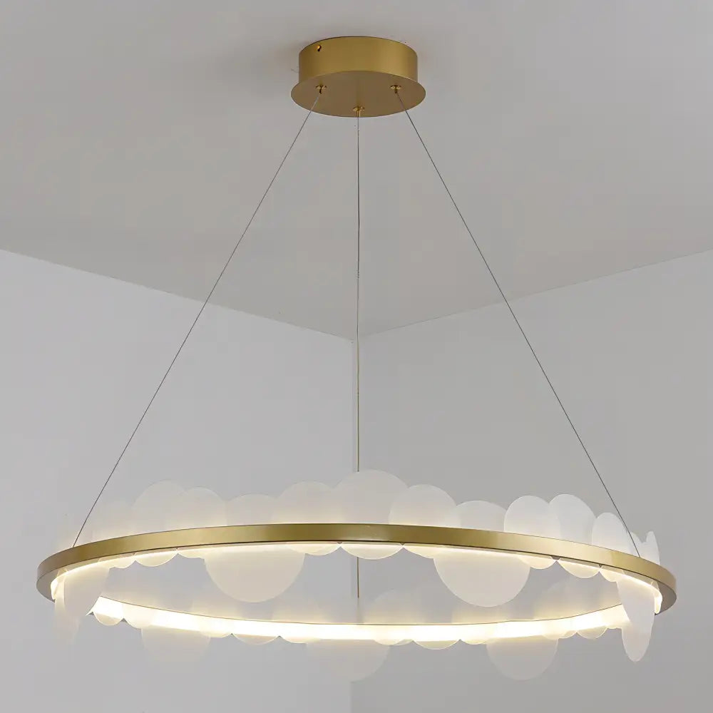 Gold frost texture led ring chandelier living room mesh globe light