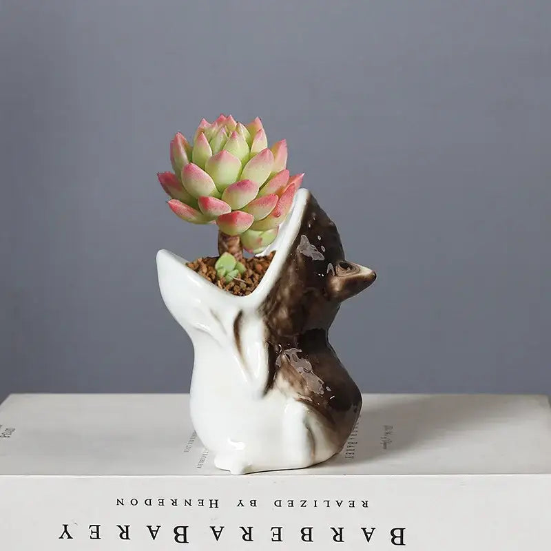 Green and yellow ceramic cute frog succulent flower pot garden decor