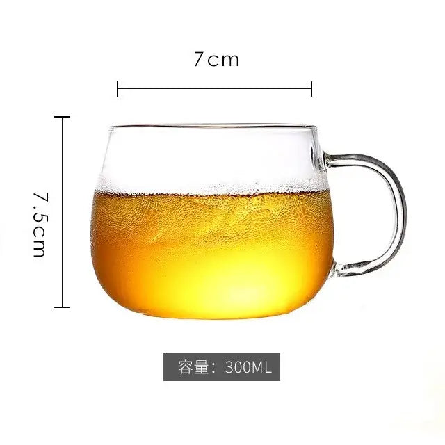 Heat resistant glass pitcher water carafe with stainless lid kitchen