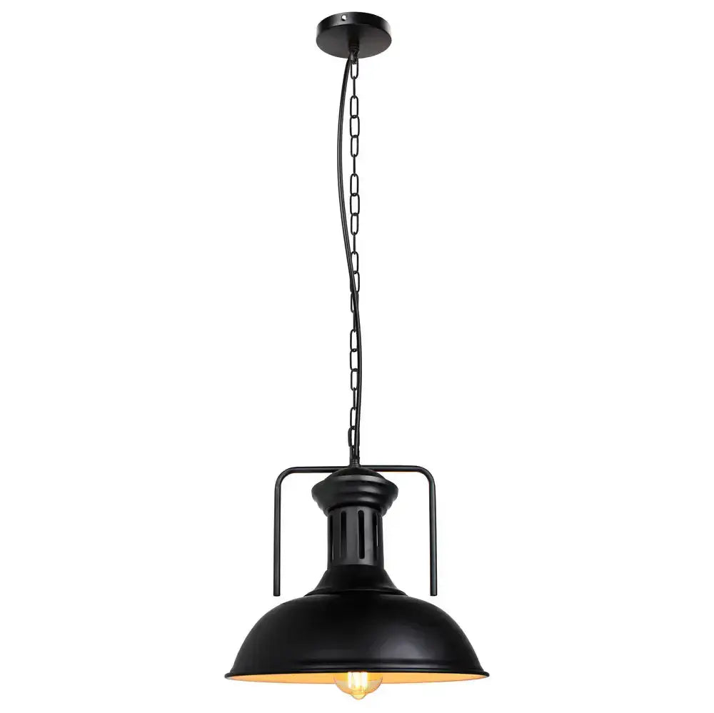Industrial black & brass iron pendant light kitchen lighting