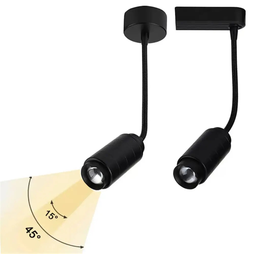 Matte black adjustable beam track light for store task lighting