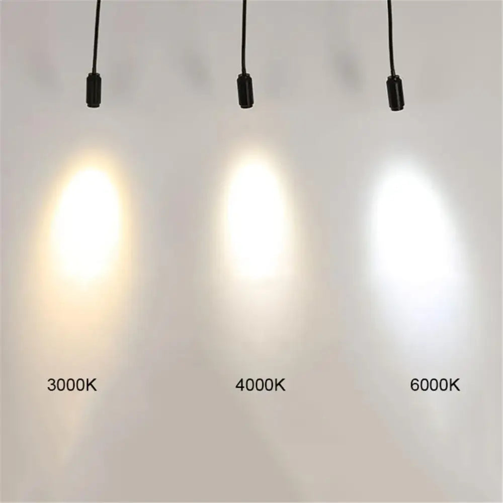 Matte black adjustable beam track light for store task lighting