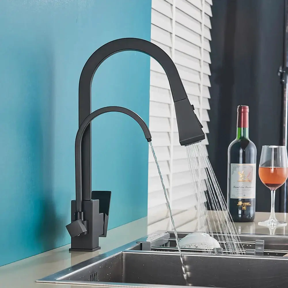 Matte black dual handle kitchen faucet with pull down spray head