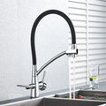 Matte black dual spout kitchen faucet with water purification