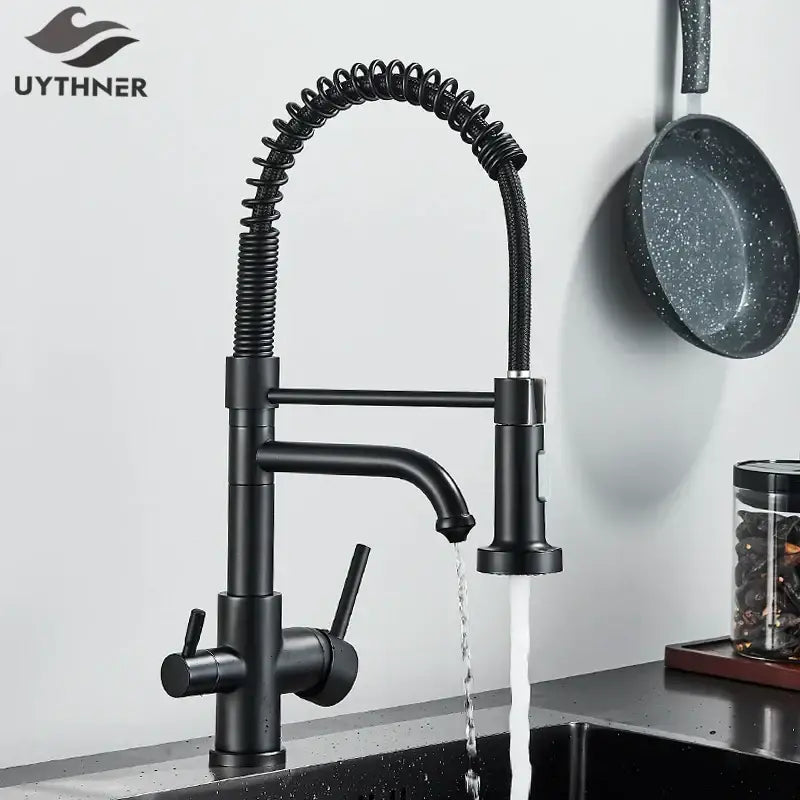 Matte black dual spout kitchen water filter faucet with gooseneck