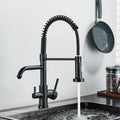 Matte black dual spout kitchen water filter faucet with gooseneck
