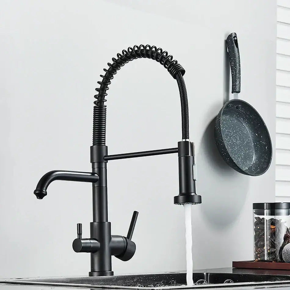 Matte black dual spout kitchen water filter faucet with gooseneck