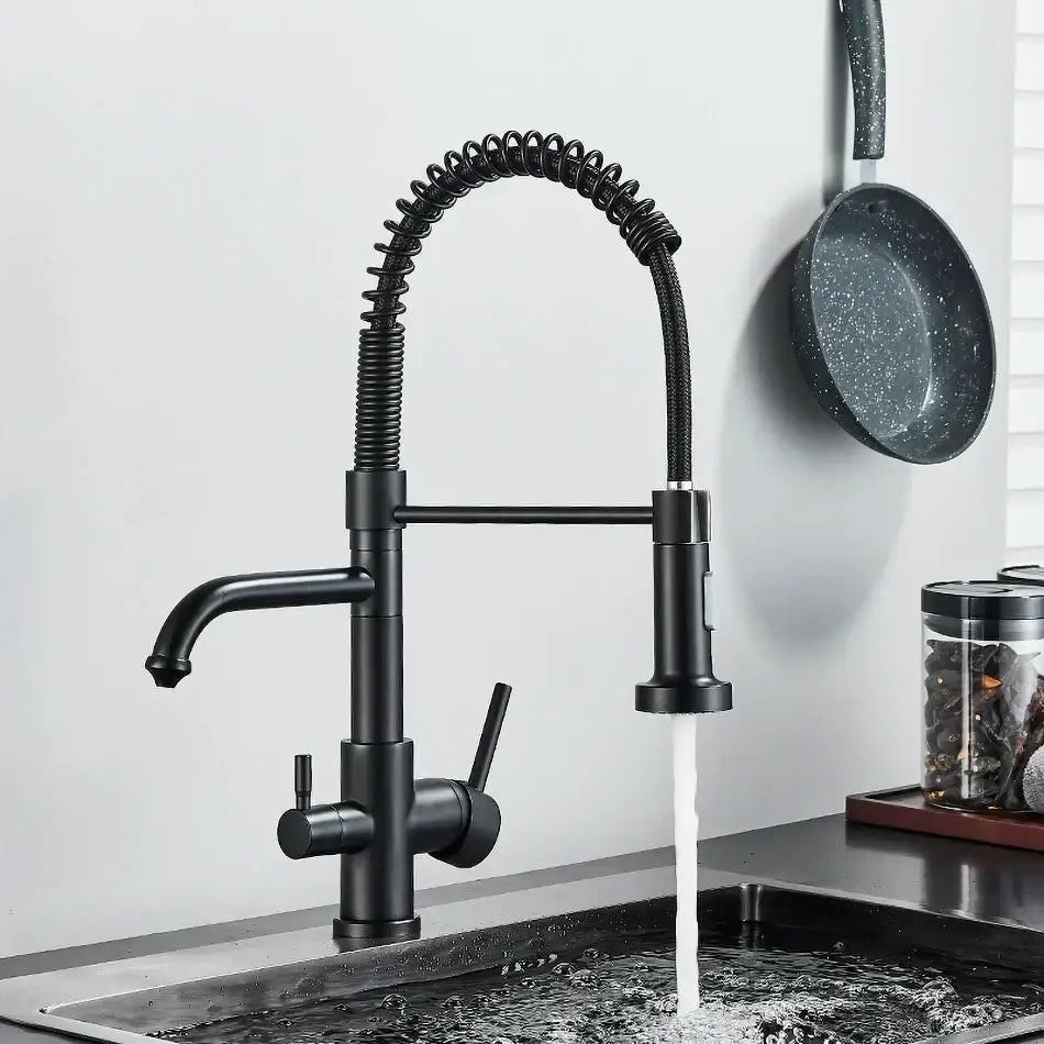 Matte black dual spout kitchen water filter faucet with gooseneck