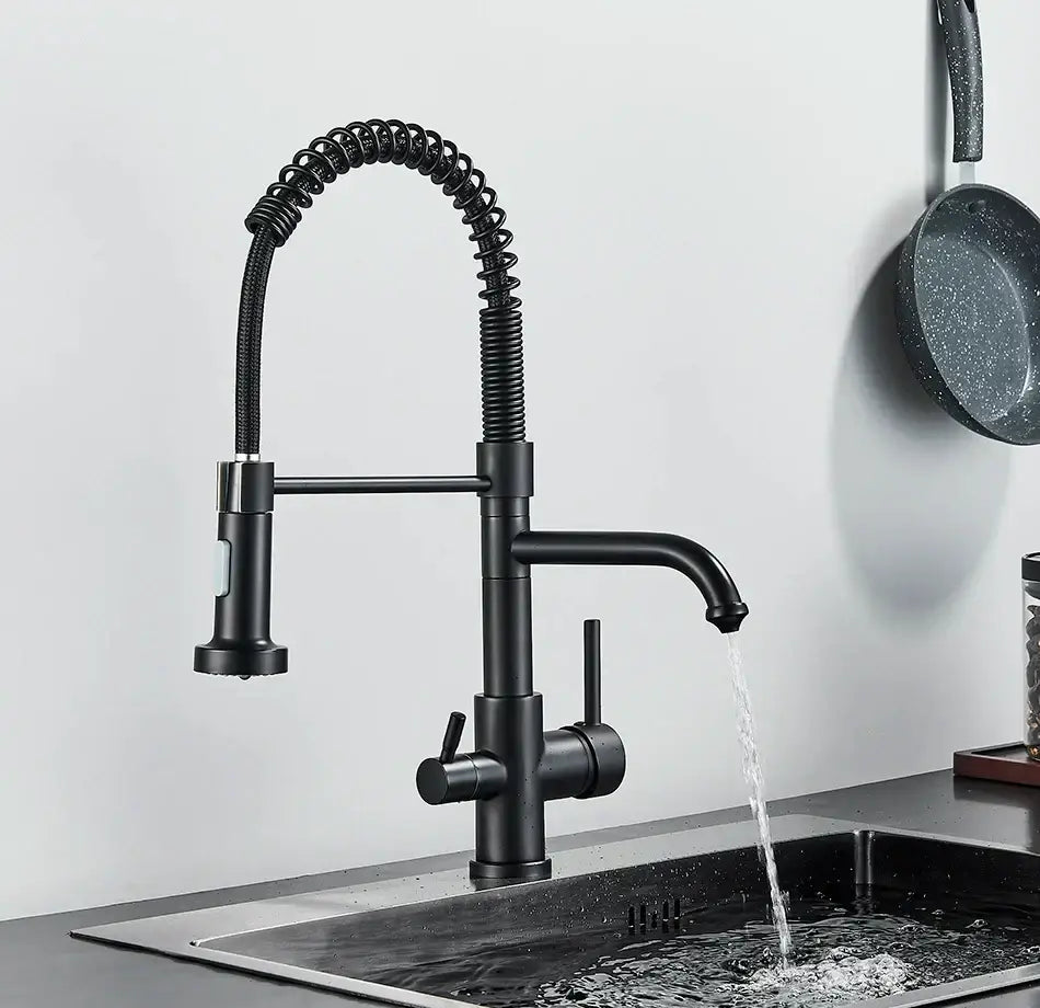 Matte black dual spout kitchen water filter faucet with gooseneck