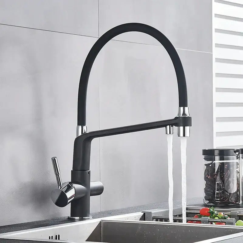 Matte black dual spout water filter faucet kitchen mixer tap