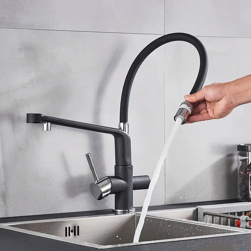 Matte black dual spout water filter faucet kitchen mixer tap
