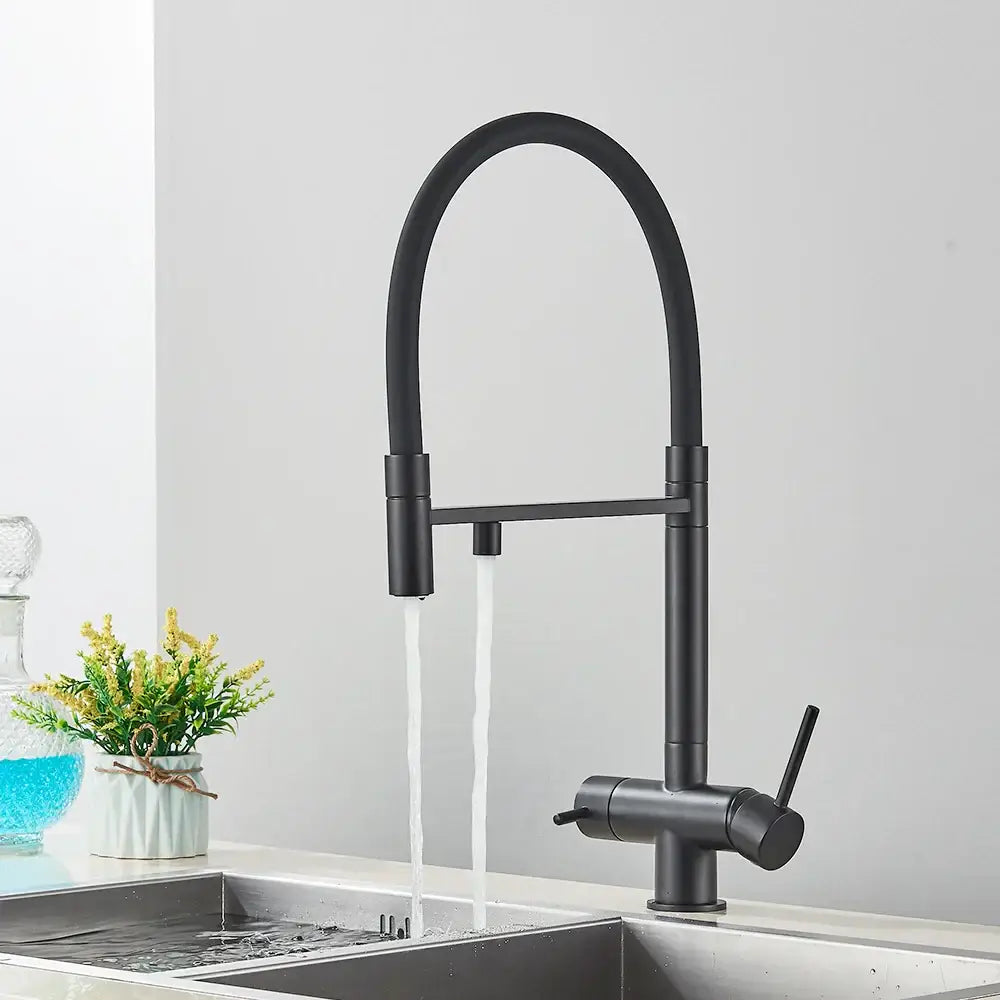 Matte black filtered kitchen faucet with pull down spout
