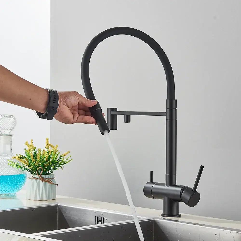 Matte black filtered kitchen faucet with pull down spout