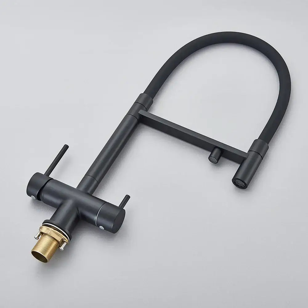 Matte black filtered kitchen faucet with pull down spout