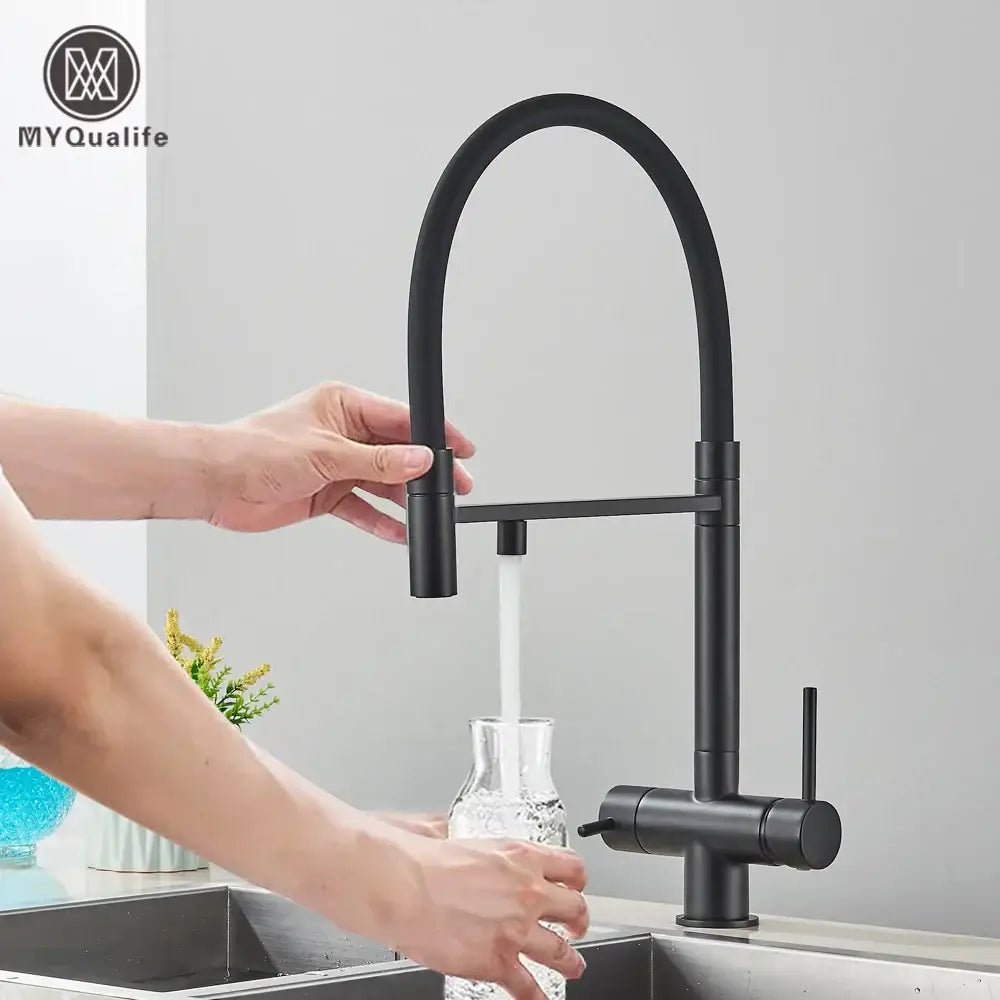 Matte black filtered kitchen faucet with pull down spout