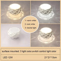 Minimalist metallic dimmable led ceiling light aisle cylinder lamp