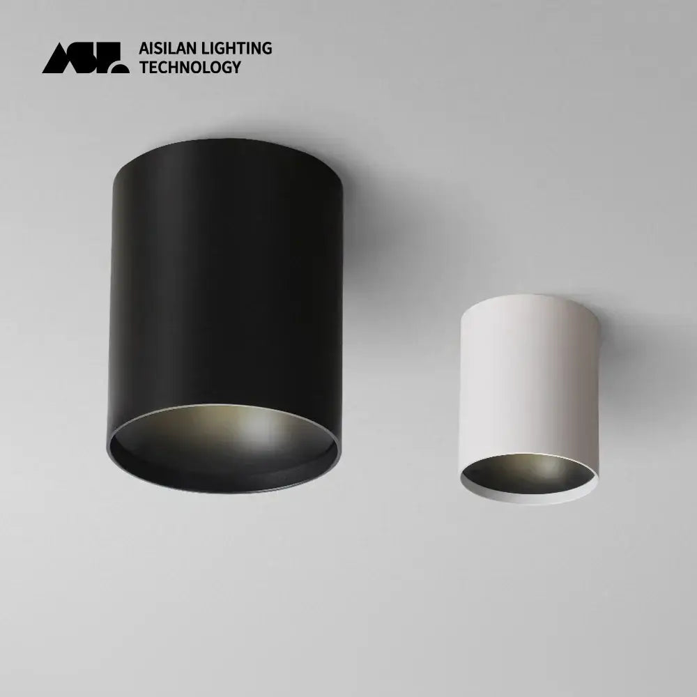Minimalist white and black led ceiling light bathroom decorbites led